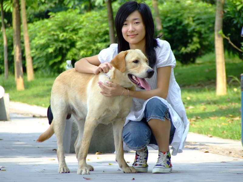 风中的绿叶的第一张照片--滨州相亲服务中心