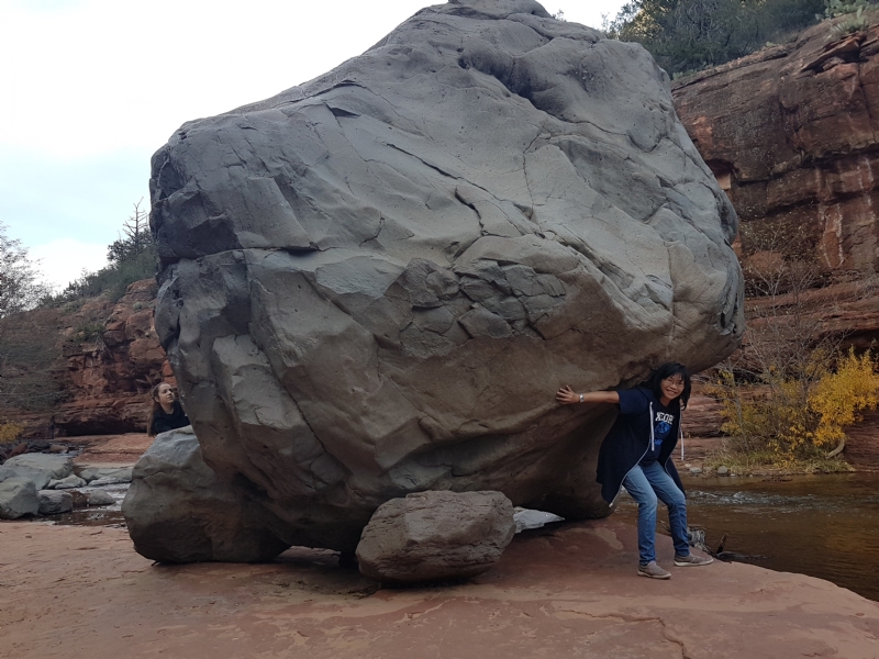 Apple的第一张照片--滨州相亲服务中心