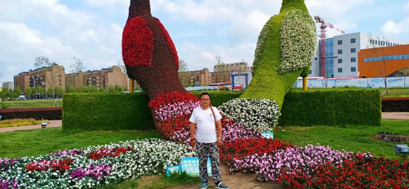 尘埃的第一张照片--滨州相亲服务中心