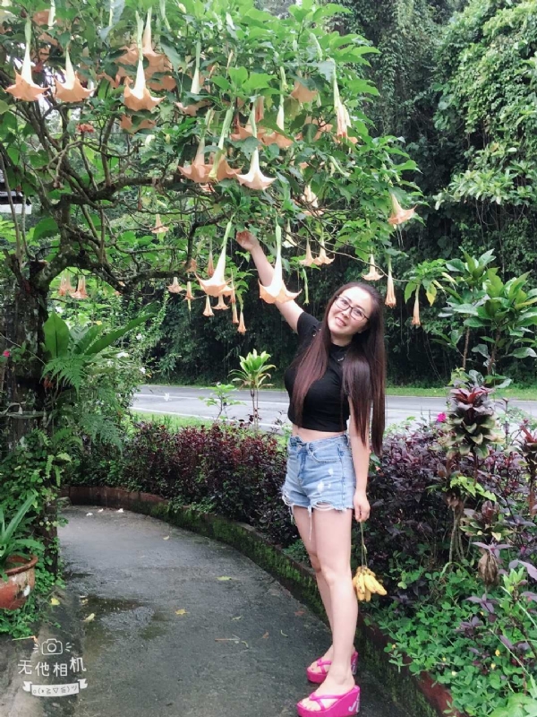 离异单身无子的第二张照片--滨州相亲服务中心