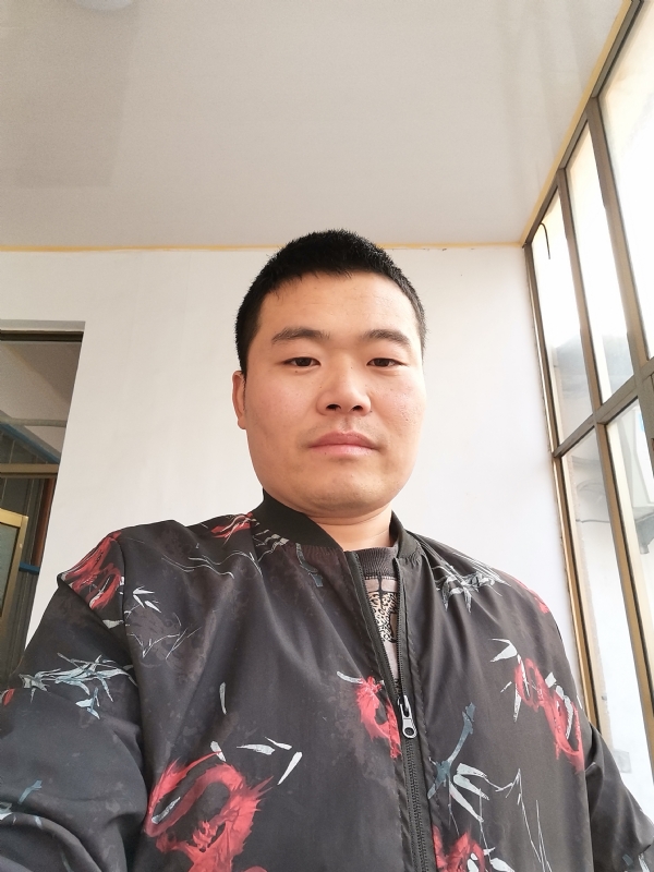 会飞的猪的第一张照片--滨州相亲服务中心