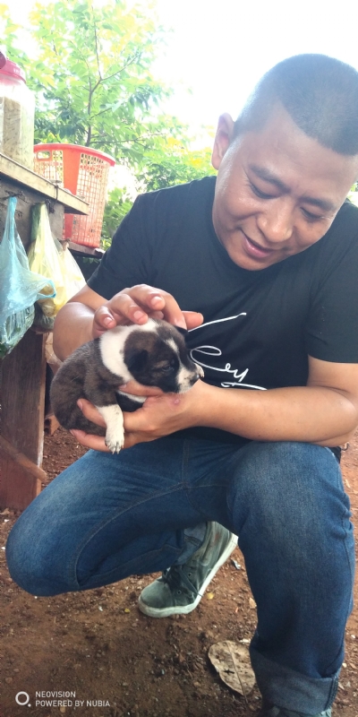 深圳相亲的第一张照片--滨州相亲服务中心