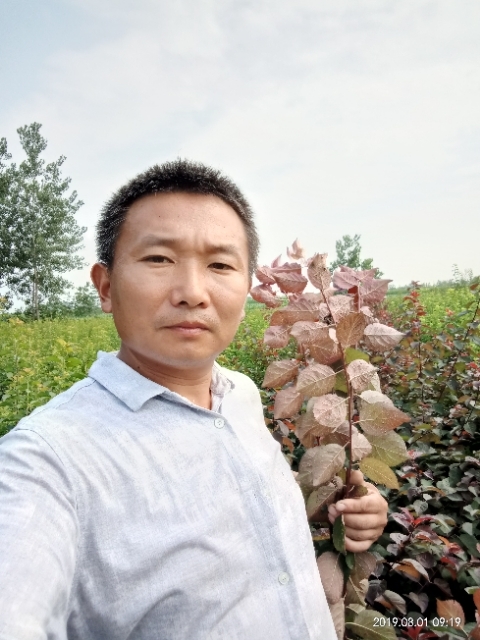 孩子爸的第二张照片--滨州相亲服务中心