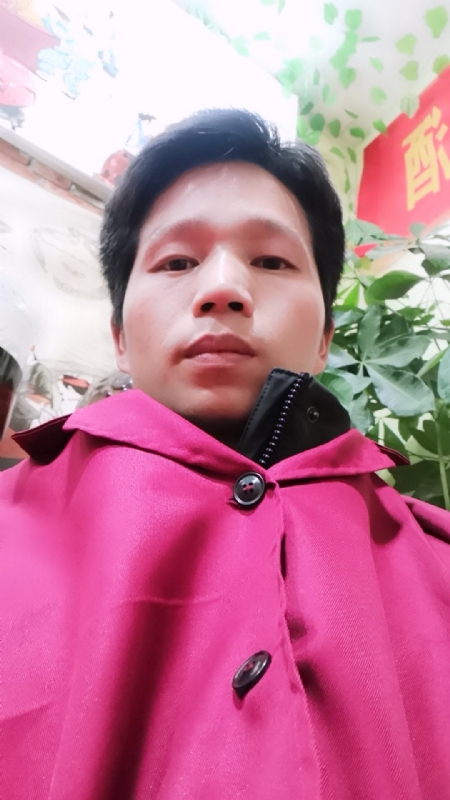 单身的林凡的第一张照片--滨州相亲服务中心