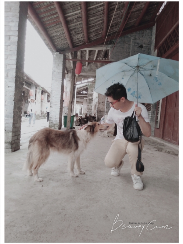 以利亚的第三张照片--滨州相亲服务中心