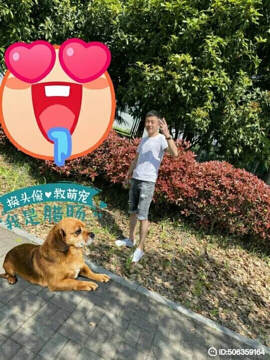 我若不坚强谁替我勇敢的第五张照片--滨州相亲服务中心