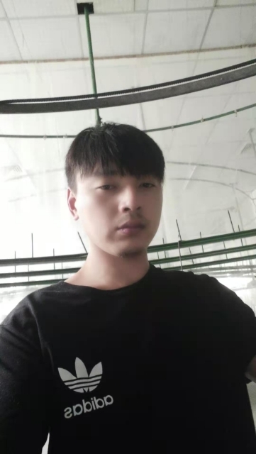 久鑫的第一张照片--滨州相亲服务中心