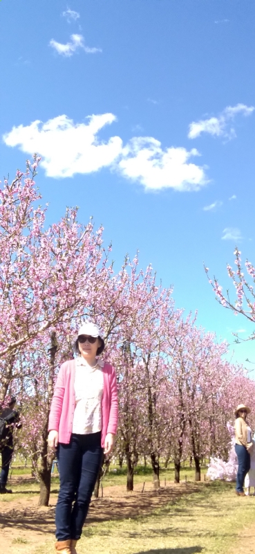 Grace的第二张照片--滨州相亲服务中心