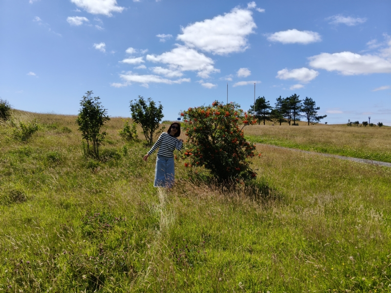 秋蝉的第一张照片--滨州相亲服务中心