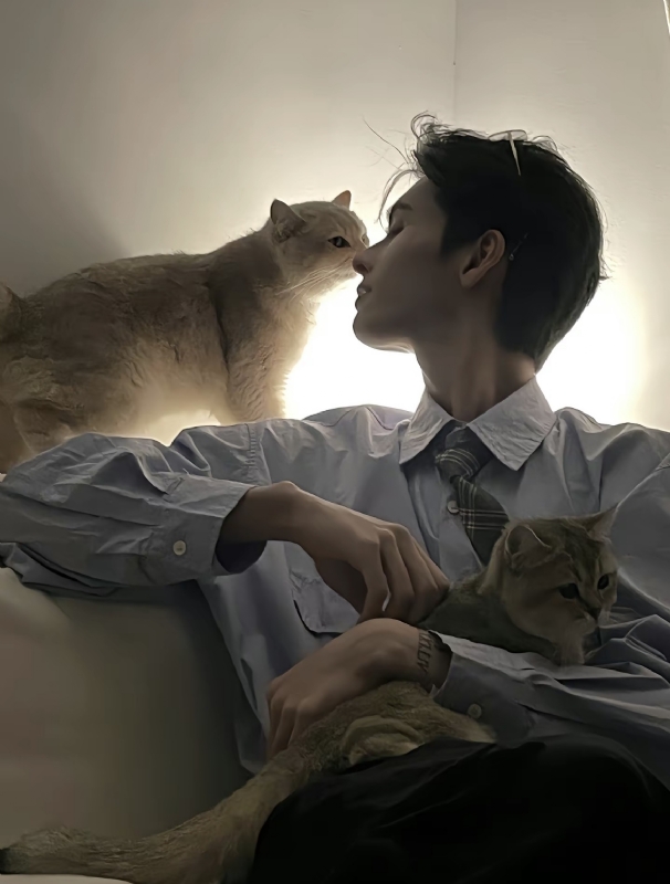 怪猫的第一张照片--滨州相亲服务中心