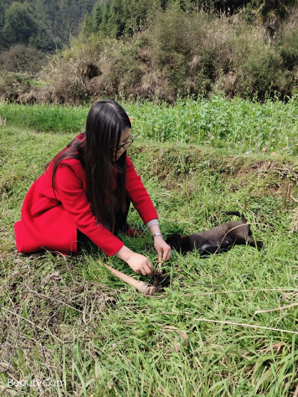 下一个春和秋的第一张照片--滨州相亲服务中心