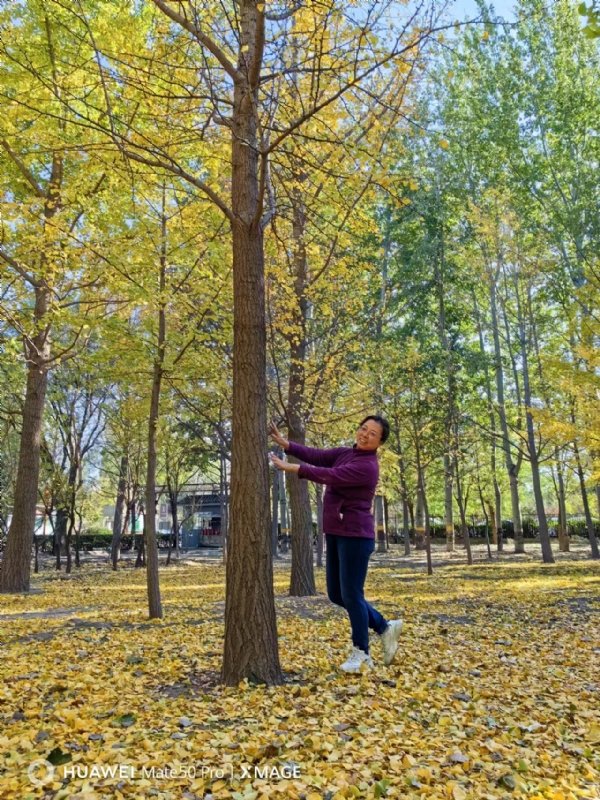 Shirley的第二张照片--滨州相亲服务中心