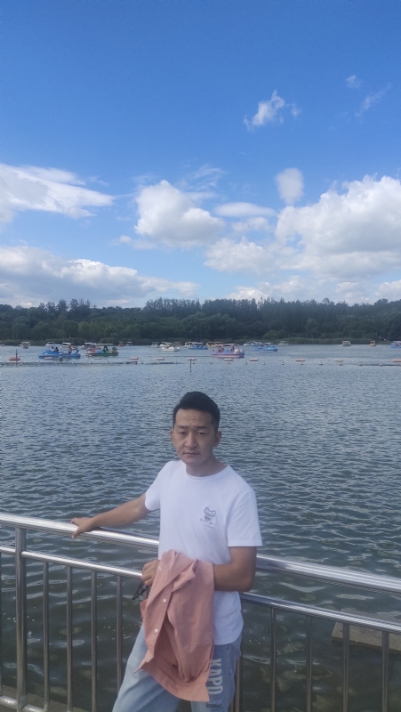 脱了壳的龟的第一张照片--滨州相亲服务中心