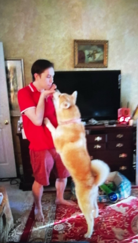 Leluch的第一张照片--滨州相亲服务中心