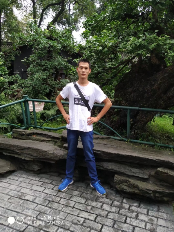 会飞的猪的第一张照片--滨州相亲服务中心