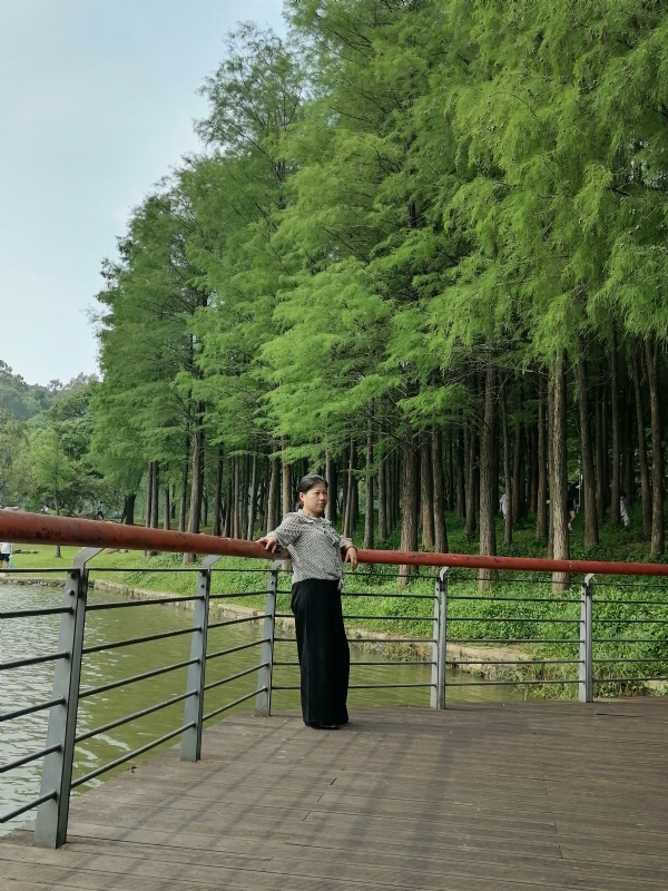 遗失的记忆的第二张照片--滨州相亲服务中心