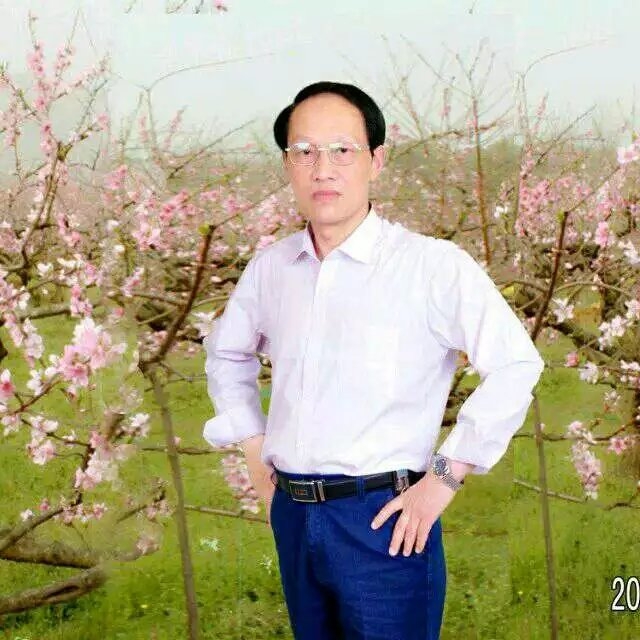 枫叶的第一张照片--滨州相亲服务中心