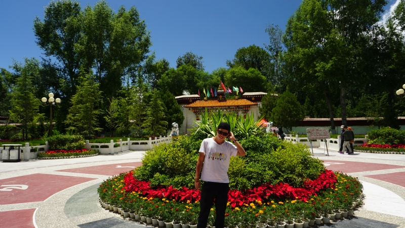 阿龙设计师的第四张照片--滨州相亲服务中心