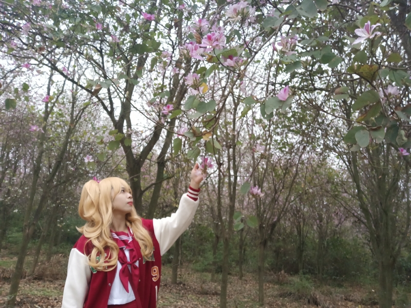 暮秋的第一张照片--滨州相亲服务中心