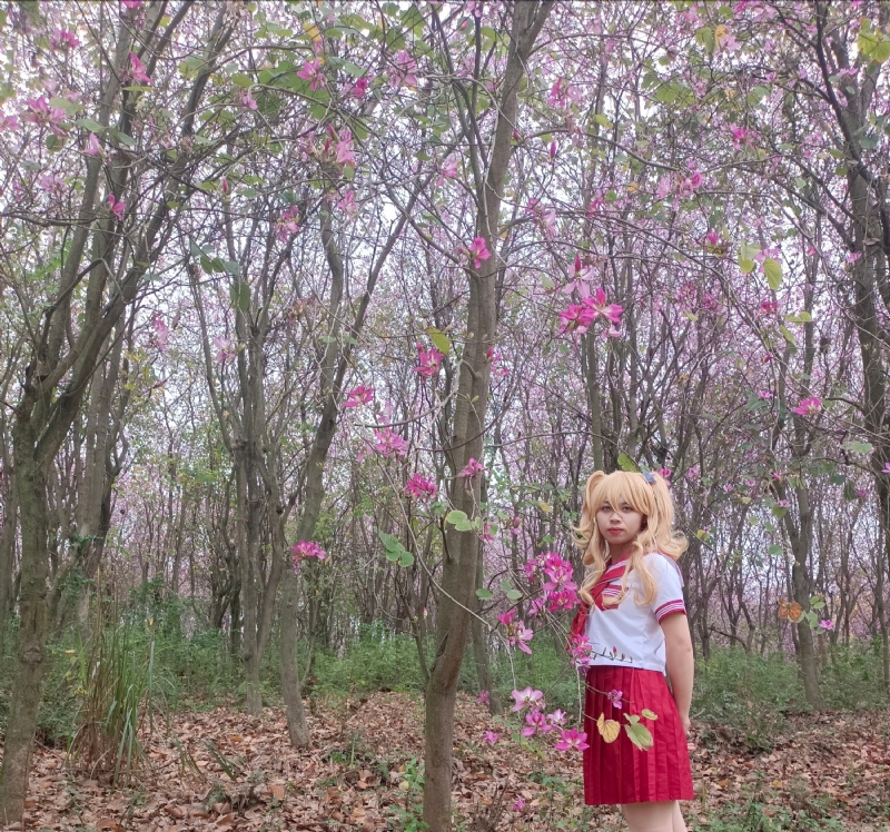 暮秋的第三张照片--滨州相亲服务中心