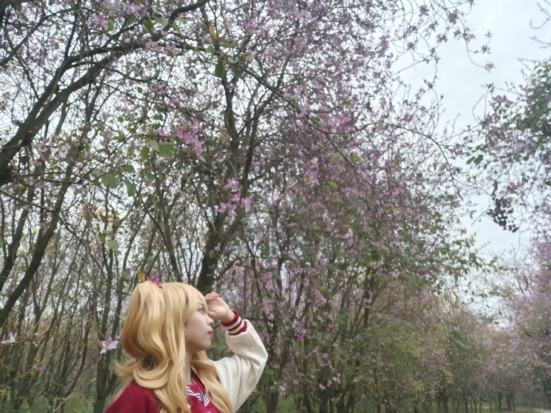 暮秋的第五张照片--滨州相亲服务中心