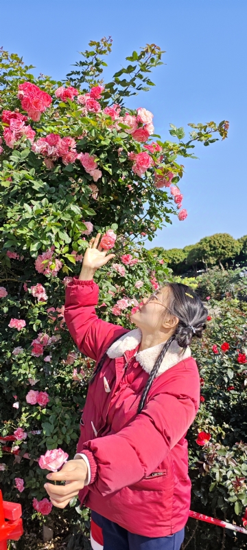 狗狗的第一张照片--滨州相亲服务中心