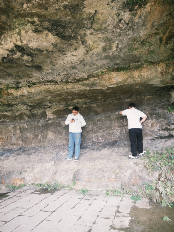 Longererer的第三张照片--滨州相亲服务中心