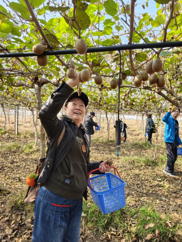 夜莺的第三张照片--滨州相亲服务中心